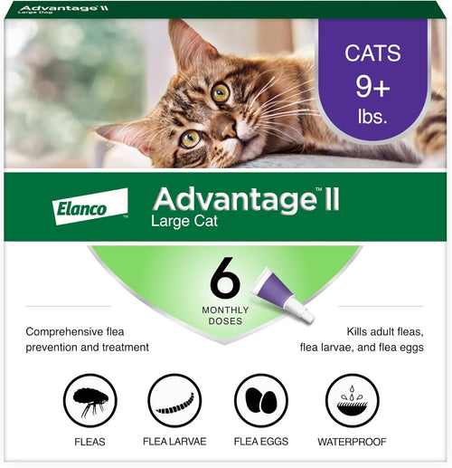 Advantage II Large Cat Over 9lbs Sealed
