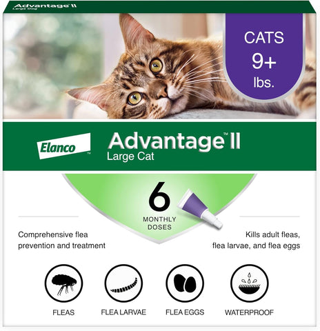 Advantage II Large Cat Over 9lbs Sealed